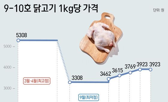 [그래픽] 9-10호 닭고기 1kg당 가격