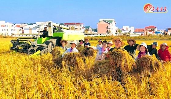 北, 수확철 맞아 해주시 장방농장 '풍작의 기쁨'