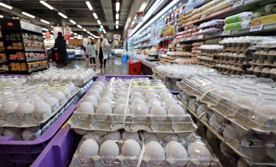 '홈플러스에서 미국산 백란 만나보세요'