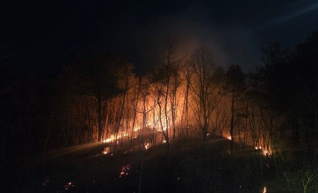 강원 동해시 사유림 화재, 1시간 만에 주불 진화