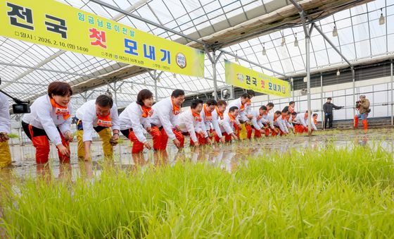 올해 첫 번째 모내기