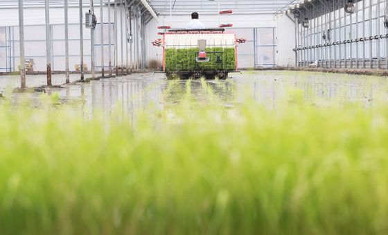 '올해도 풍년을 기원합니다'