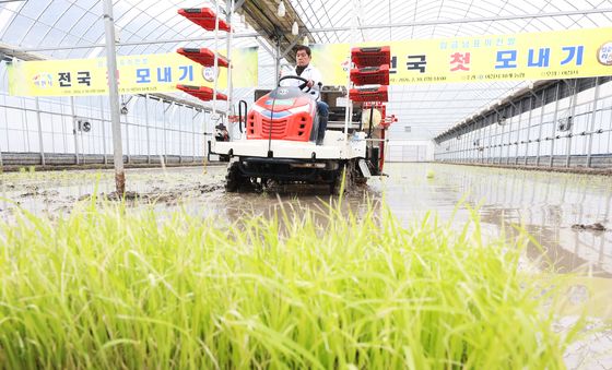 '올해도 풍년을 기원합니다'