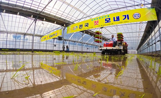 전국 첫 모내기