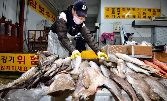 설 차례상에 올릴 민어 조기