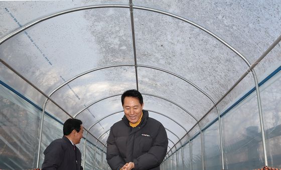 안산 황톳길 살펴보는 오세훈 서울시장