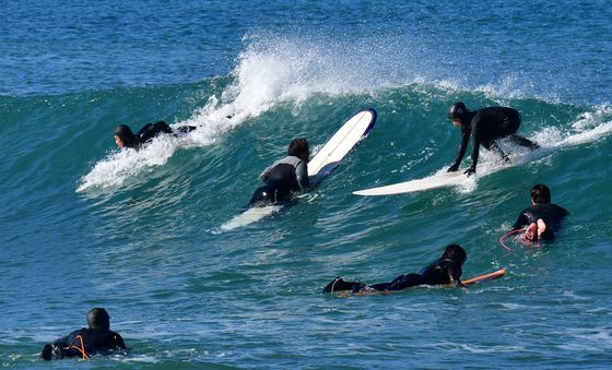 봄 파도 속으로