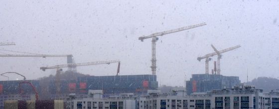 포항 올 해 첫 눈