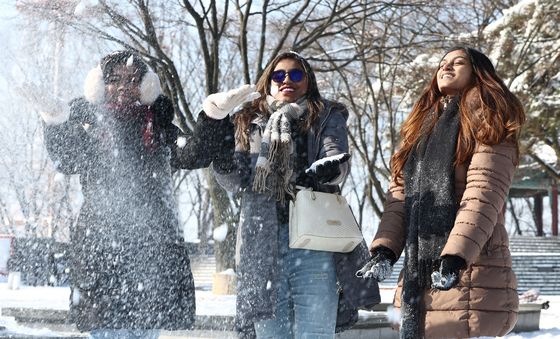 한국에서 본 첫눈