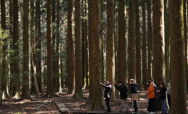 김인호 청장, 숲에서 국민 휴식 강조하며 현장점검