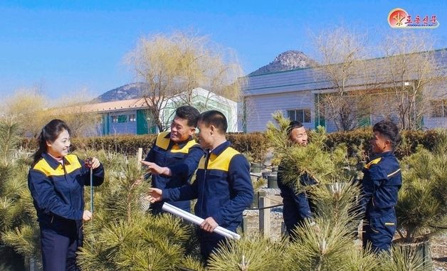 北 "황해북도서 봄철 나무심기, 나무모 사업 힘있게 내밀어"
