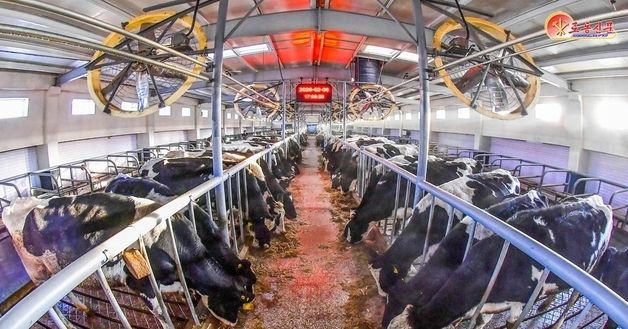 北 "지능형통합생산체계 구축"…삼광리 농장 선전