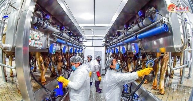 北 "현대 축산 본보기"…삼광리 농장 선전