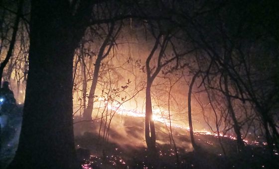 경남 함양군 마천면 산불 대응 1단계