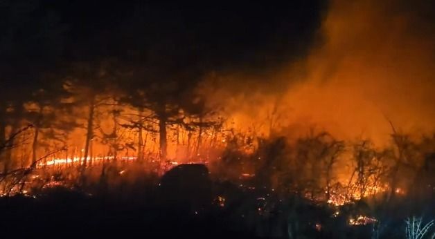 강원 고성 토성면 산불…소방, 대응 2단계 격상