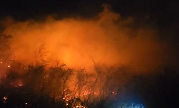 강원 고성 토성면 산불…소방, 대응 2단계 격상