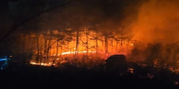 강원 고성 토성면 산불…소방, 대응 2단계 격상