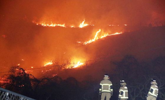 강풍 타고 번지는 밀양 산불
