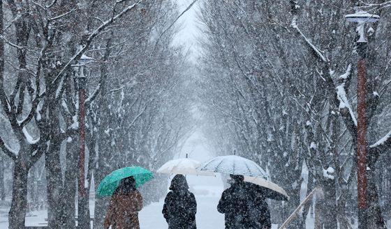 충청 대설주의보 발효