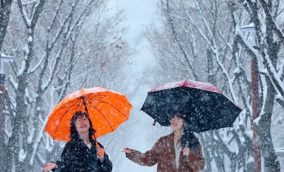 봄인줄 알았는데