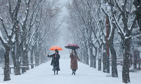 폭설 내리는 대전