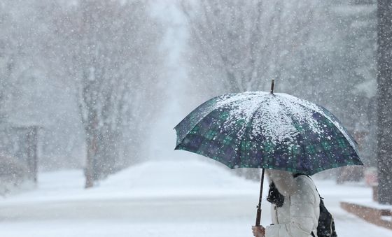 봄의 문턱에서 내리는 폭설