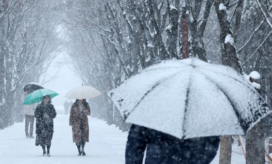 입춘 지나고 폭설