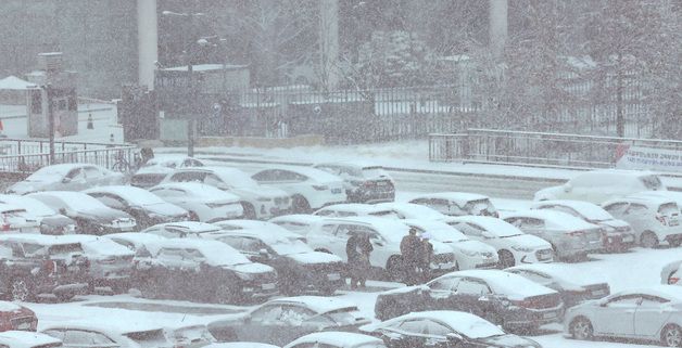 대전·세종·충남 대설주의보…눈덮인 정부세종청사