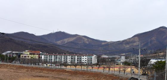 영덕 산불이 남긴 상흔