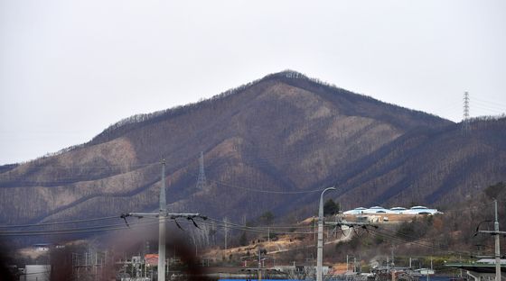 영덕 산불 피해 현장은 그대로