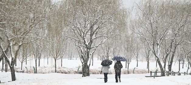 눈 내리는 거창창포원