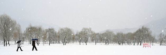 새하얗게 변한 거창창포원