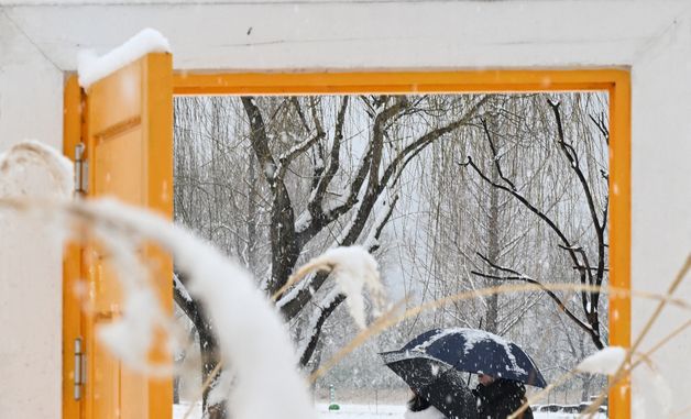 눈 내리는 거창창포원