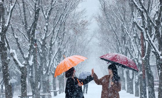 봄 앞두고 폭설 내리는 대전