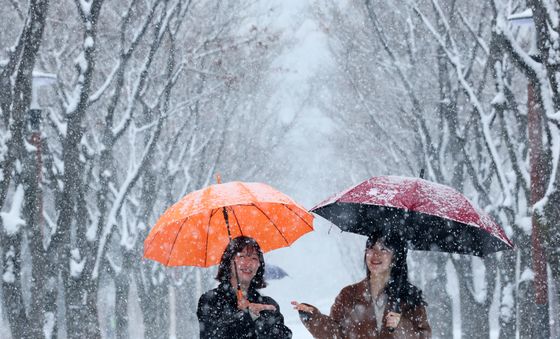 봄의 문턱에서 내리는 눈