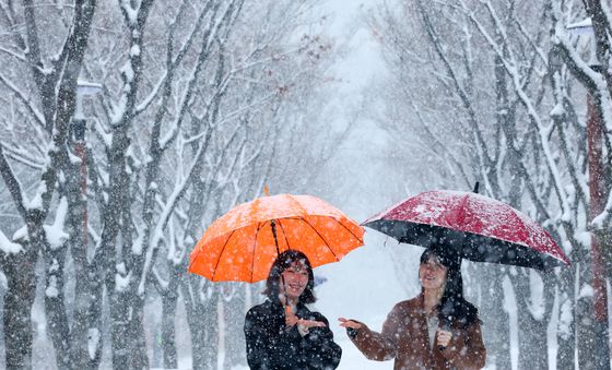 함박눈이 소복소복