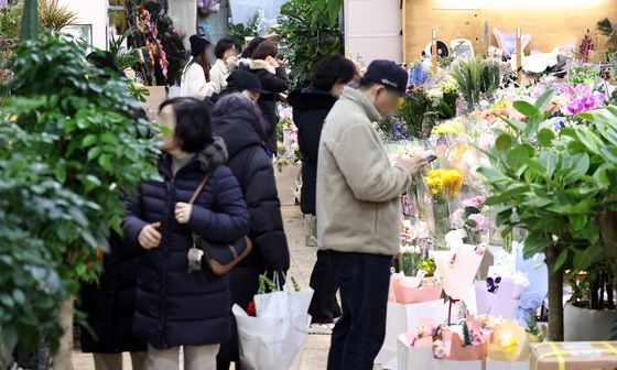 입춘 맞은 꽃시장