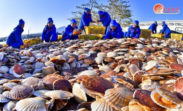 북한, 신포시양식장 조명…"선진 양식업의 기지"