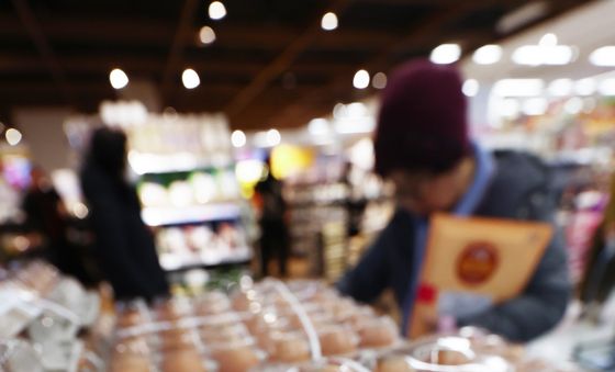'계란 가격 비싼 이유 있었나'