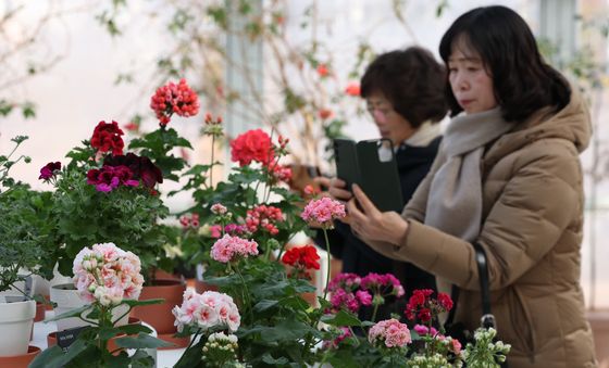 일월수목원, '지금 우리는 봄' 전시 개최