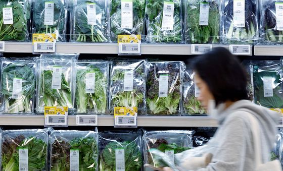 상추 27%↑…고물가 폭탄에 멈칫