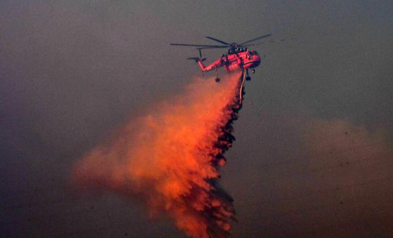 경주 문무대왕면 산불 확산 저지