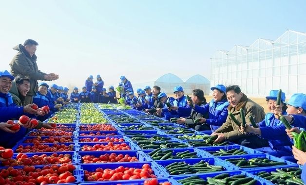 北, 신의주온실종합농장 첫 수확 알리며 가동 과시