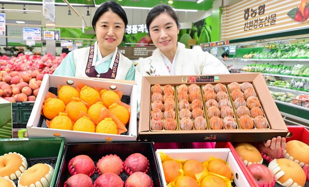 농협유통 하나로마트, 병오년 설 선물 과일 세트 추천