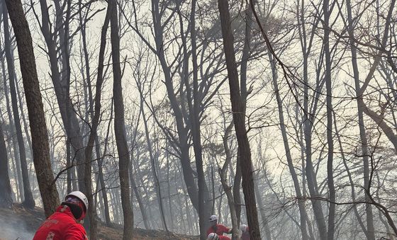 숨은 불씨 찾는 경주시산불진화대