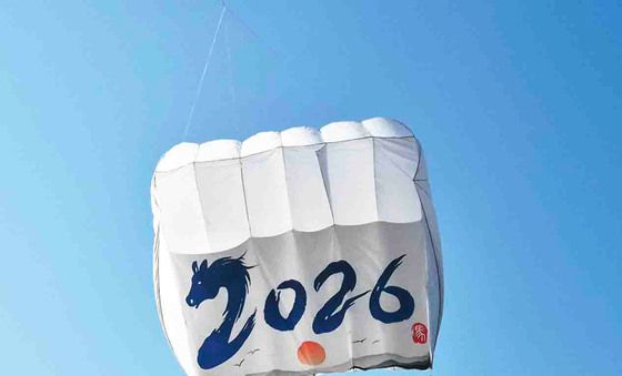 2026 세종시 정월대보름 전국 연날리기 대회, 창작연날리기 부문 은상 수상작