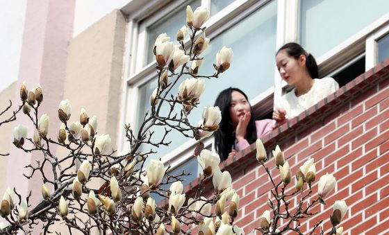 '톡톡' 터지는 봄