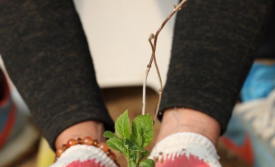 내일은 흙의 날