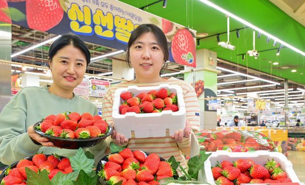 농협유통, 춘분 앞두고 딸기 행사 진행