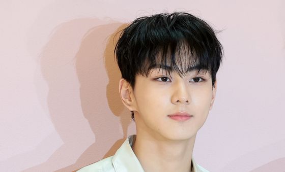 살빠진 엔하이픈 정원, 비주얼 만개